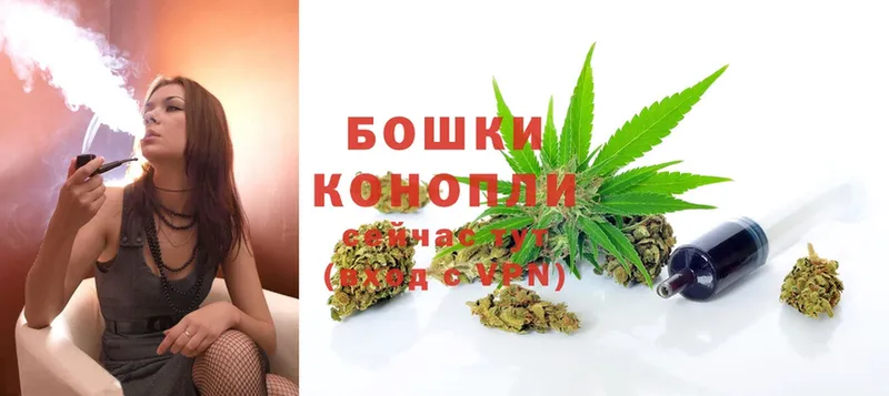 Конопля White Widow  blacksprut онион  Новокубанск  наркотики 